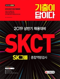 SKCT SK그룹 종합역량검사(2019)